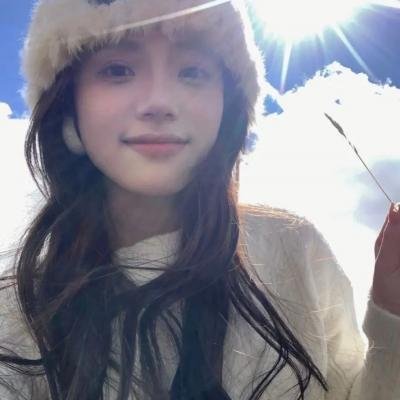 狗狗的疯狂假期